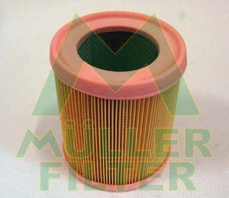 Air Filter (PA363)
