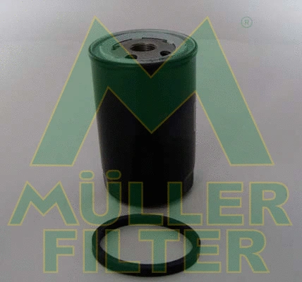 Oil Filter (FO462)