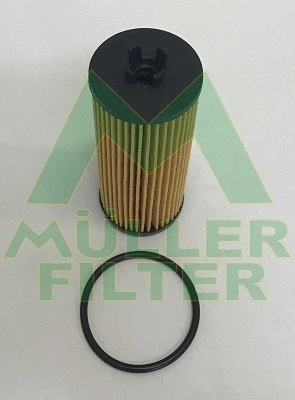 Oil Filter (FOP391)