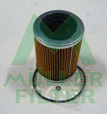 Oil Filter (FOP202)
