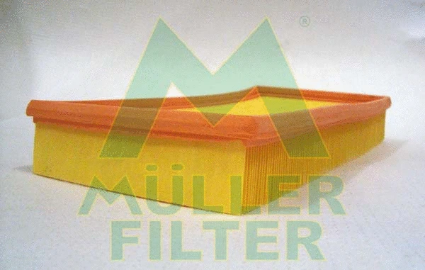 Air Filter (PA384)