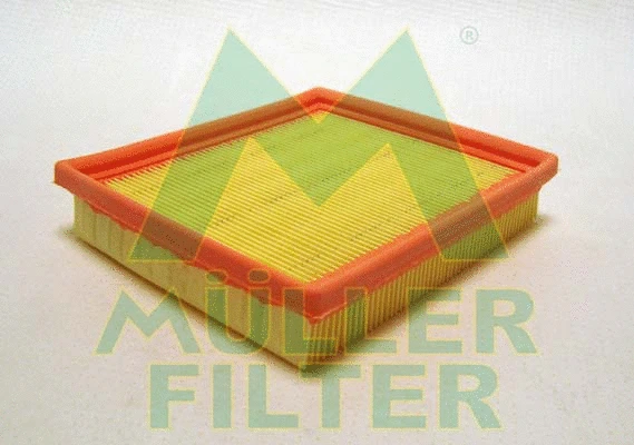 Air Filter (PA3663)
