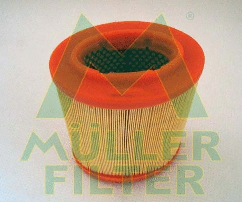 Air Filter (PA3132)