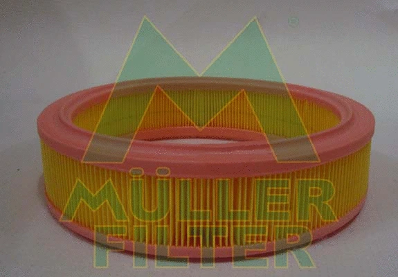 Air Filter (PA409)