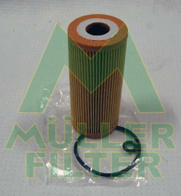 Oil Filter (FOP109)
