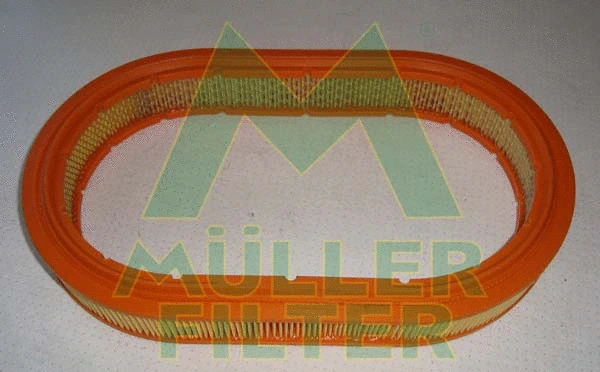 Air Filter (PA257)