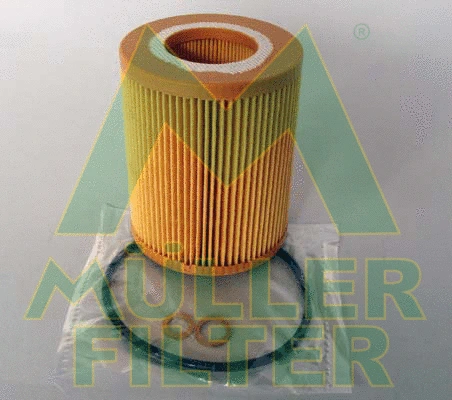 Oil Filter (FOP205)