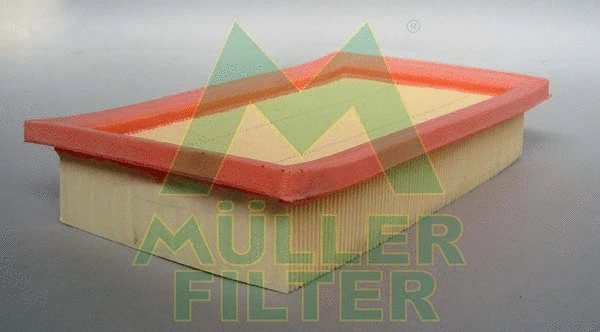 Air Filter (PA3130)