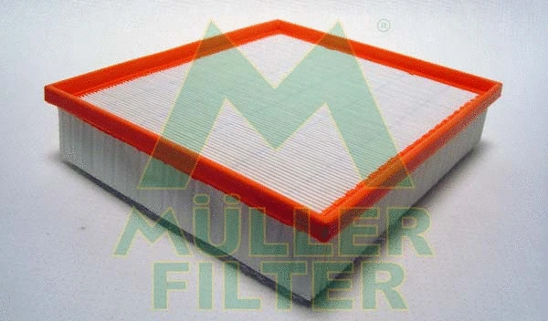 Air Filter (PA3113)