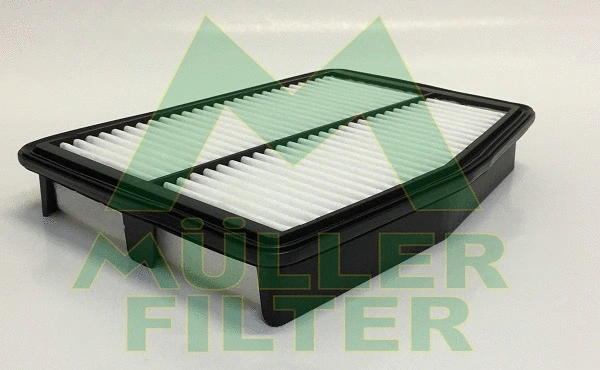 Air Filter (PA3800)