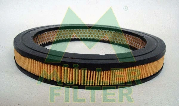 Air Filter (PA904)