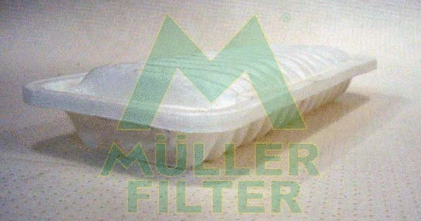 Air Filter (PA749)