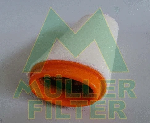 Air Filter (PA295)