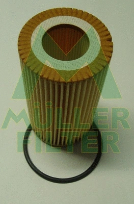 Oil Filter (FOP298)