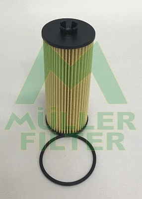 Oil Filter (FOP302)