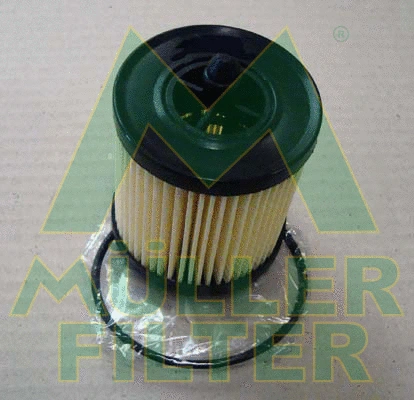Oil Filter (FOP115)