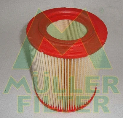 Air Filter (PA155)