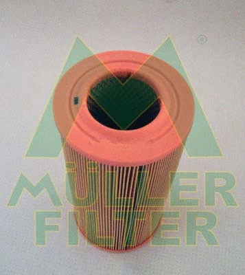 Air Filter (PA3124)