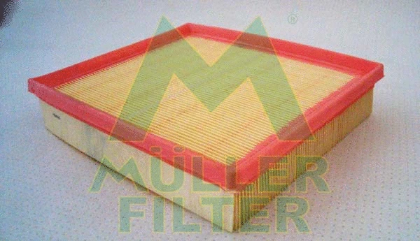 Air Filter (PA3100)