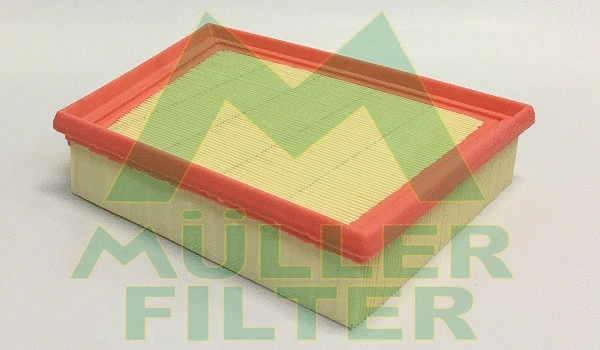 Air Filter (PA3823)