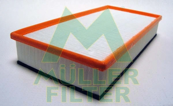 Air Filter (PA3668)