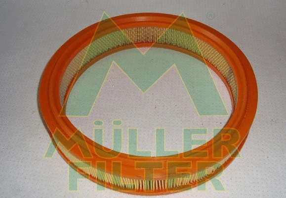 Air Filter (PA129)