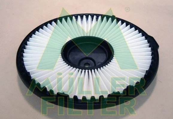 Air Filter (PA3429)