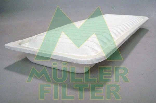 Air Filter (PA3492)