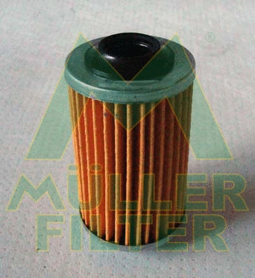 Oil Filter (FOP374)