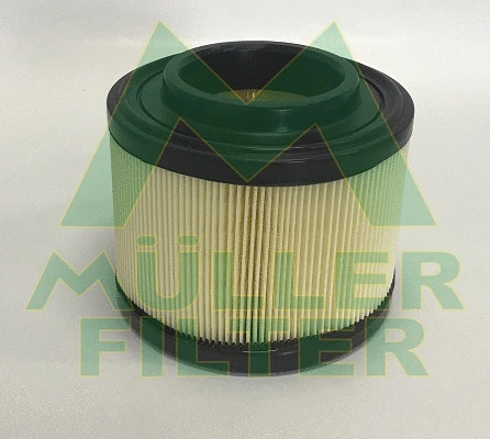 Air Filter (PA3687)