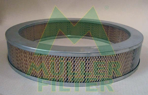 Air Filter (PA434)