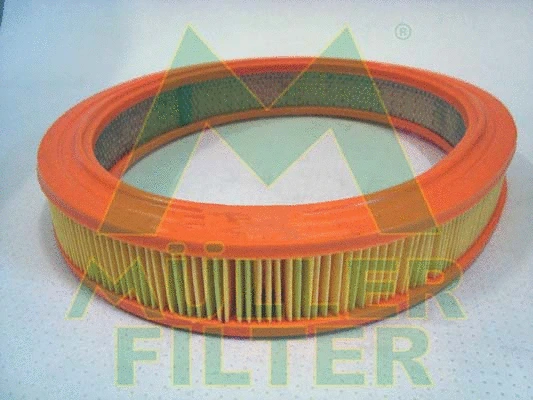 Air Filter (PA342)