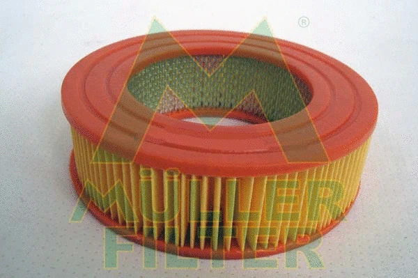 Air Filter (PA843)