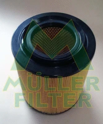 Air Filter (PA3439)