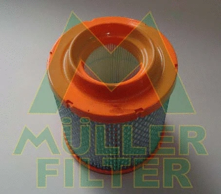 Air Filter (PA3418)