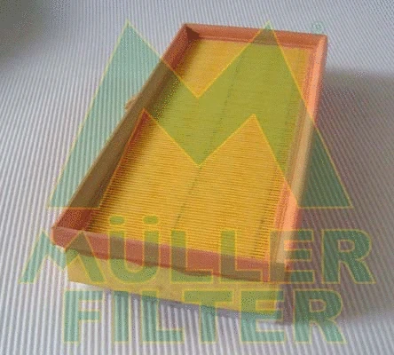Air Filter (PA3462)