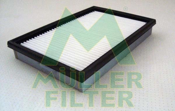 Air Filter (PA3174)