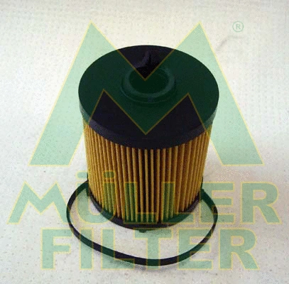 Fuel Filter (FN269)