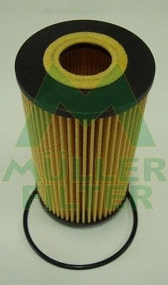 Oil Filter (FOP399)
