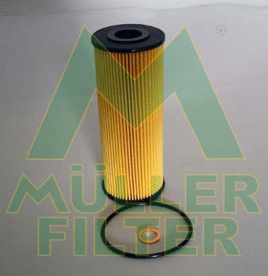 Oil Filter (FOP828)