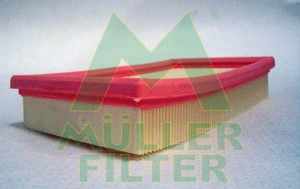 Air Filter (PA398)