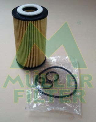 Oil Filter (FOP229)