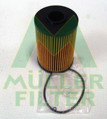 Oil Filter (FOP276)
