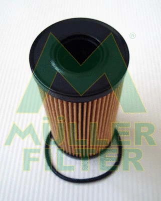 Oil Filter (FOP356)