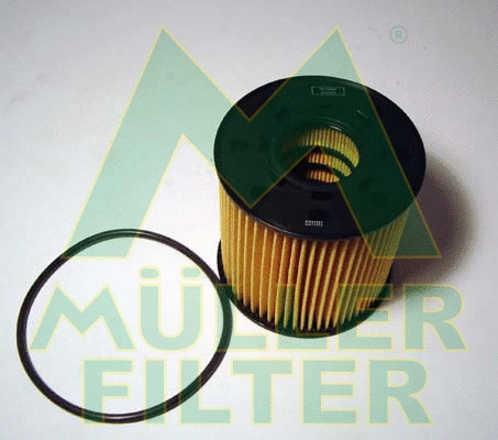 Oil Filter (FOP225)
