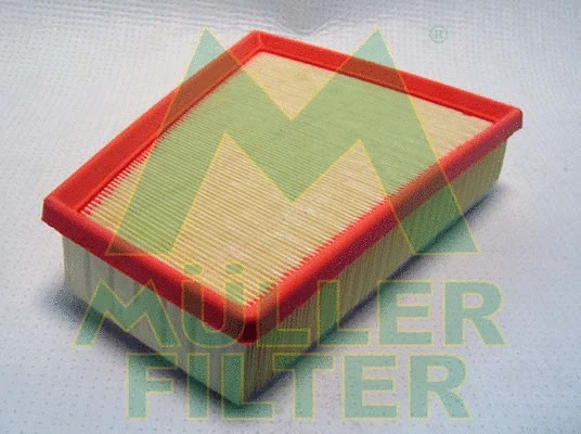 Air Filter (PA3560)
