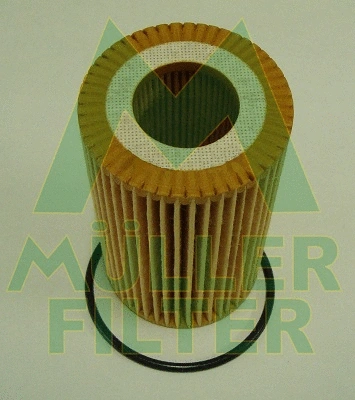 Oil Filter (FOP297)