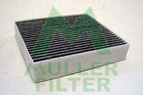 Filter, cabin air (FK166)