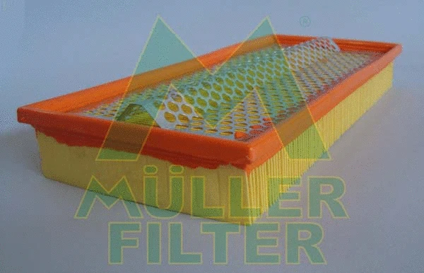 Air Filter (PA250)
