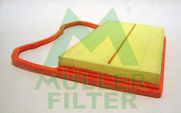 Air Filter (PA3604)
